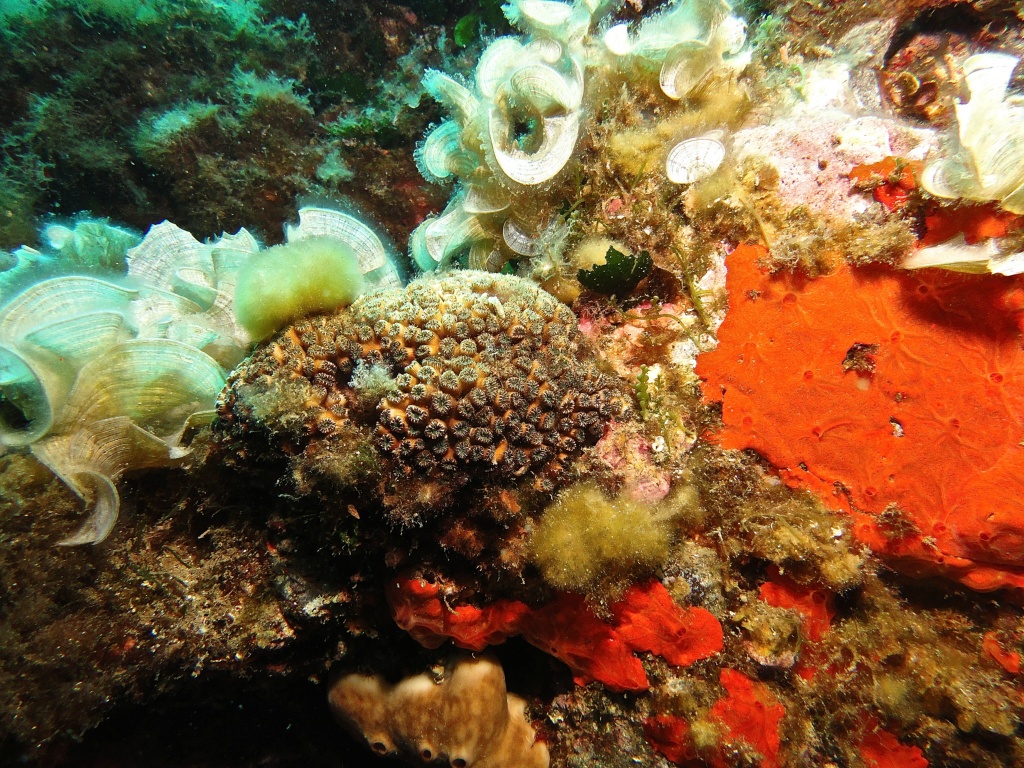 DSC04851